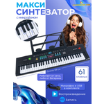 Игрушка музыкальная Kaleidoscope toys синтезатор