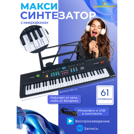 Игрушка музыкальная Kaleidoscope toys синтезатор