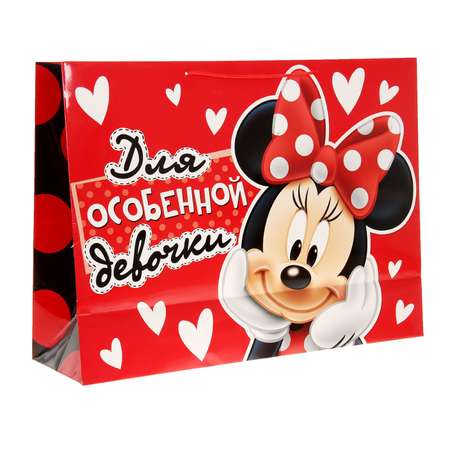 Пакет ламинированный Disney Для особенной девочки