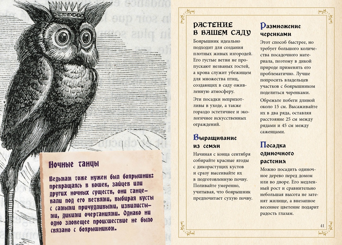 Сборный комплект в коробе из 3-х книг КОЛИБРИ Тайные знания магического Средневековья - фото 20