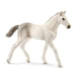 Фигурка SCHLEICH Голштинский жеребенок