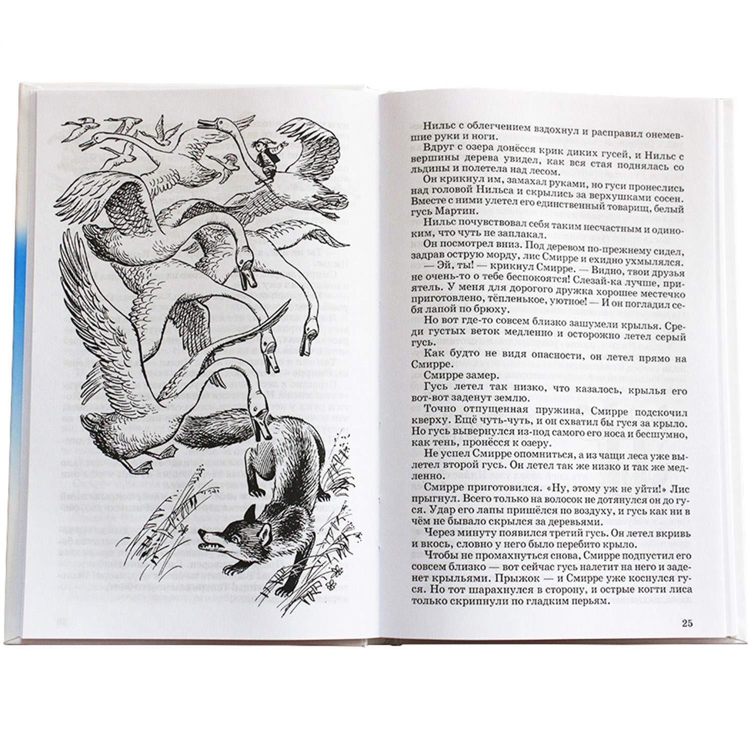 Книга Искатель Чудесное путешествие Нильса - фото 6