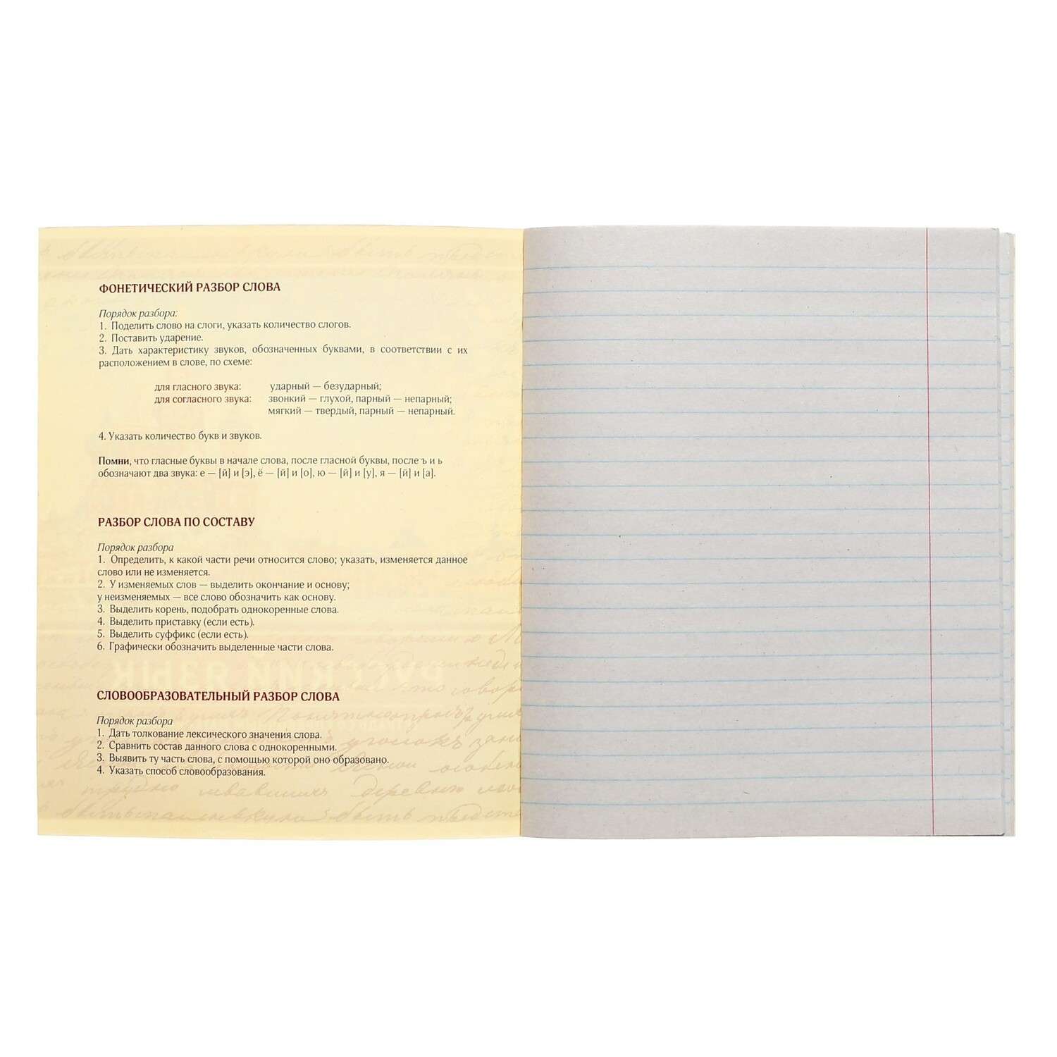 Тетрадь Calligrata 48 лист. 1 шт. (Русский язык) - фото 4