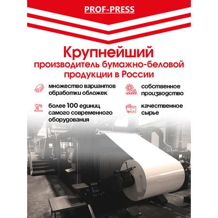 Альбом Prof-Press А4 24 лист. 2 шт.