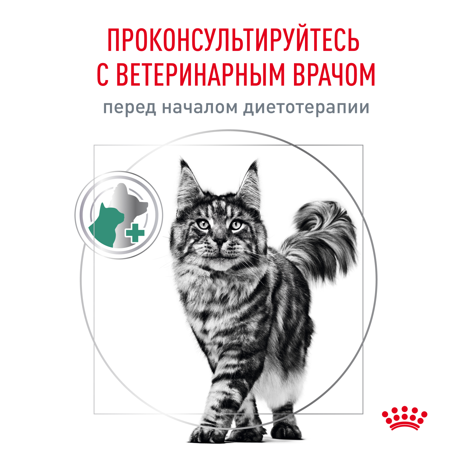 Корм для кошек влажный ROYAL CANIN Diabetic для взрослых кошек при диабете 85г - фото 12