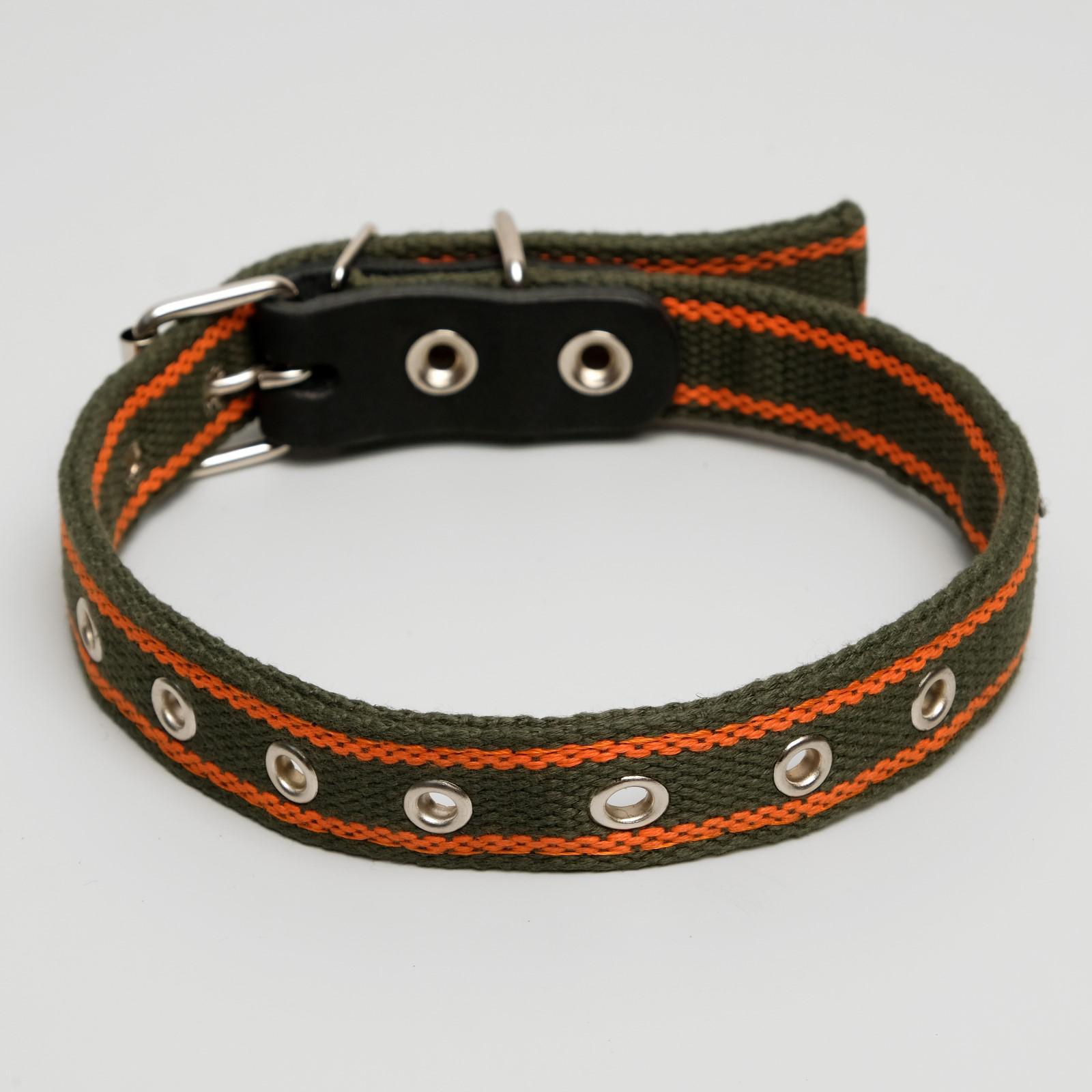 Ошейник Пижон брезентовый щенячий двухслойный 54 х 2.5 см хаки/оранжевый - фото 1