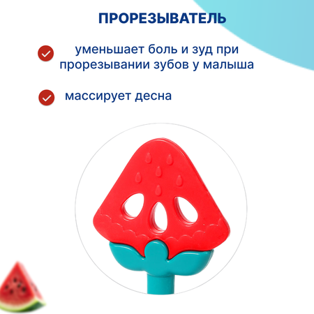 Игрушка Babyono погремушка Арбуз в ассортименте