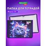 Папка для тетрадей Brauberg любознательный кот А4