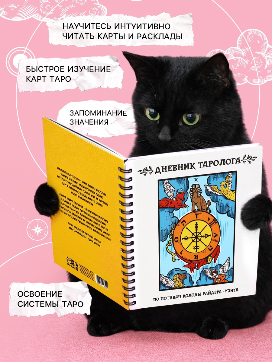Дневник ArtFox STUDY таролога - фото 2
