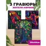 Гравюра LORI(колорит) Жители Африки