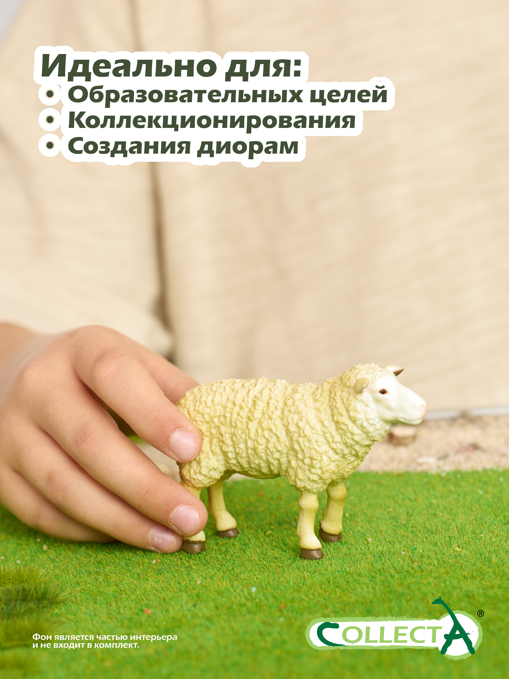 Фигурка Collecta Овца 5.5 см - фото 6