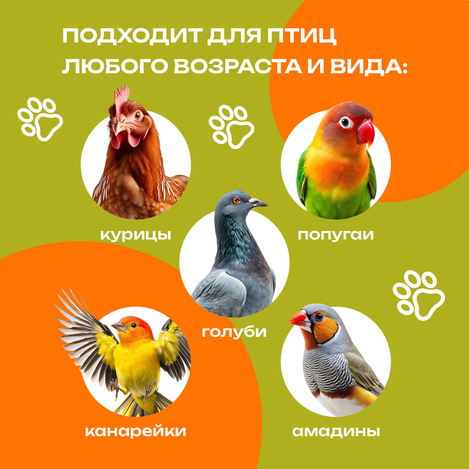 Средство от пероеда блох и клещей у кур PETPOWER с маслом полыни 500 мл - фото 4