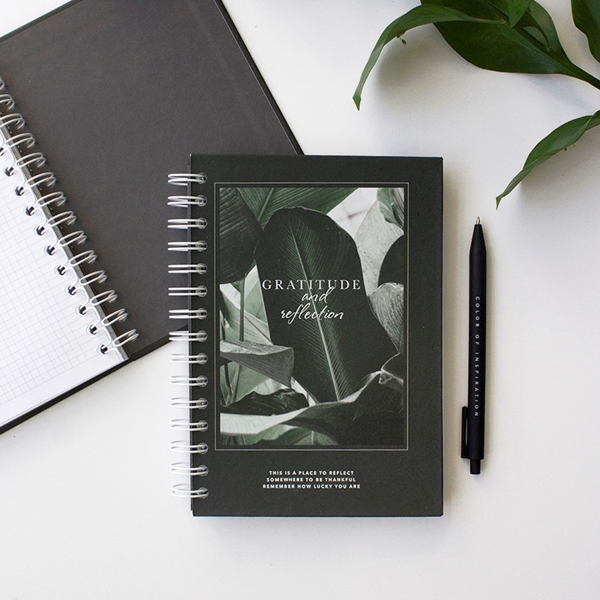 Общая тетрадь Be Smart клетка 120 лист. - фото 2