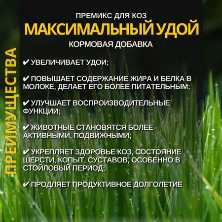 Кормовая добавка Ваше Хозяйство Премикс Здравур Максимальный удой для коз 3кг