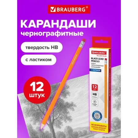 Карандаши чернографитные Brauberg 12 шт.