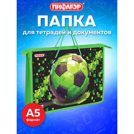 Папка для тетрадей Пифагор А4