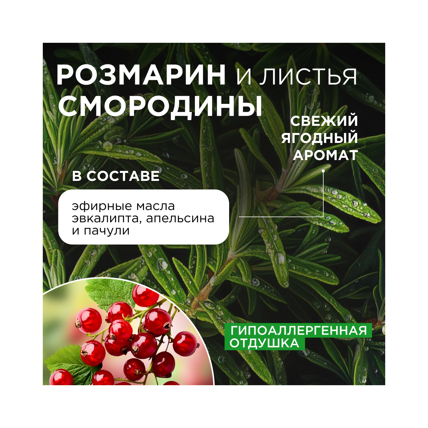 Средство для мытья посуды Synergetic Розмарин-Листья смородины 500 мл - фото 4