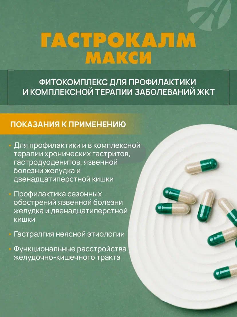 БАД Арт Лайф Гастрокалм Макси Для защиты желудка, 90 капсул - фото 3