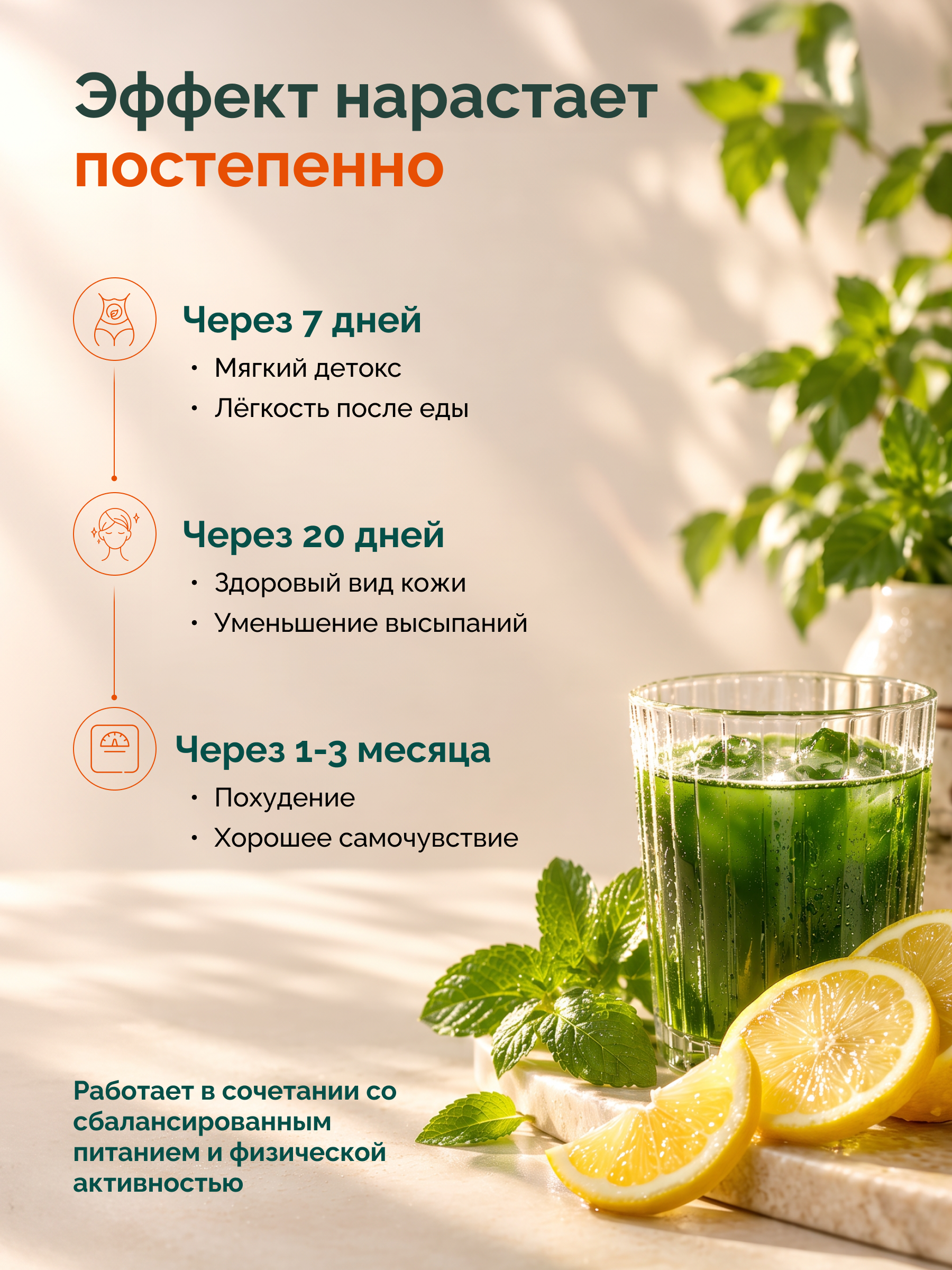 Хлорофилл жидкий MedCraft концентрат с L-карнитином 500мл - фото 6