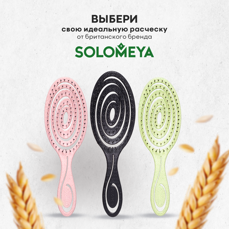 Щетка SOLOMEYA