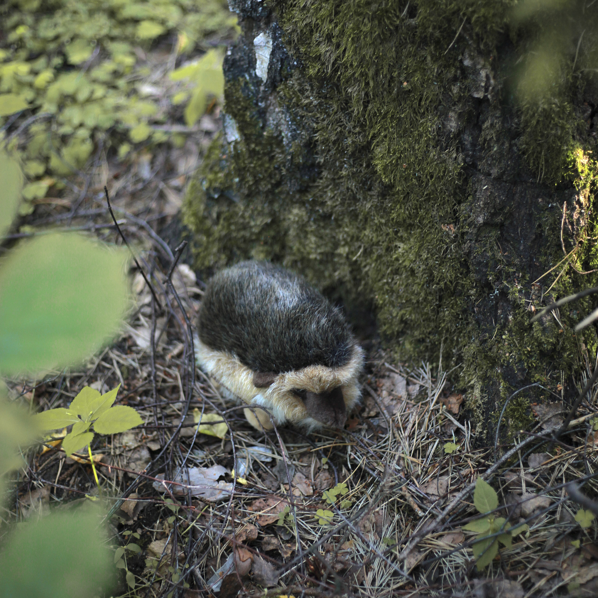 Мягкая игрушка HANSA - фото 6