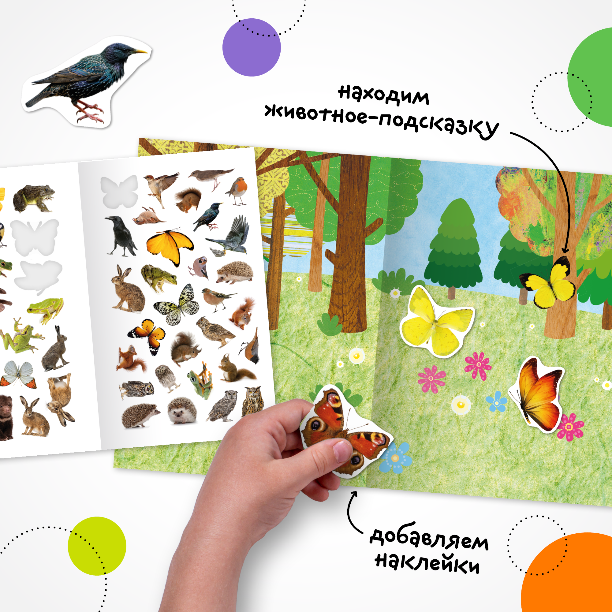 Книга МОЗАИКА kids Фотонаклейки В лесу - фото 3