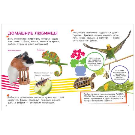 Книга Домашние любимцы Энциклопедия для первого чтения с крупными буквами