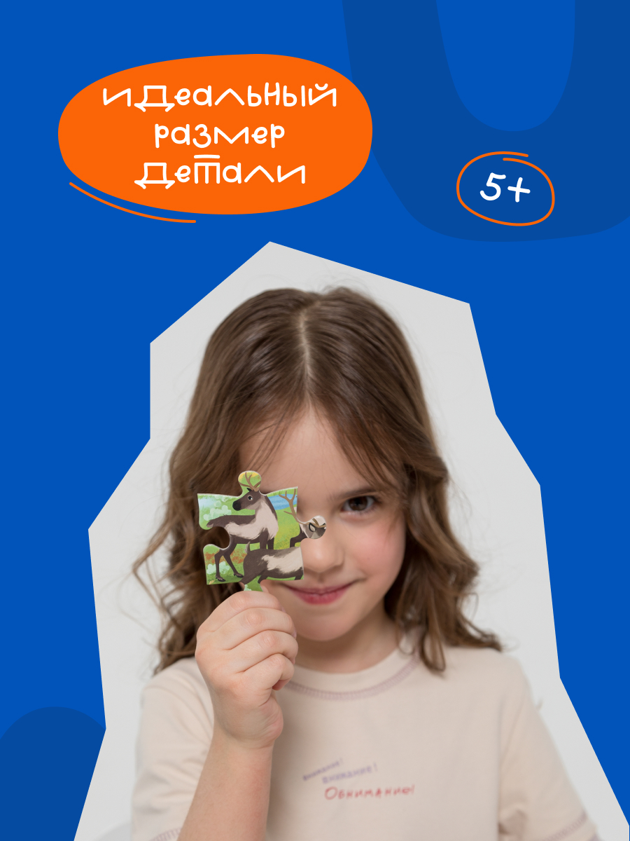 Пазл Харди Гарди Природные зоны России - фото 5