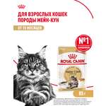 Корм для кошек ROYAL CANIN Мейн кун соус 85г