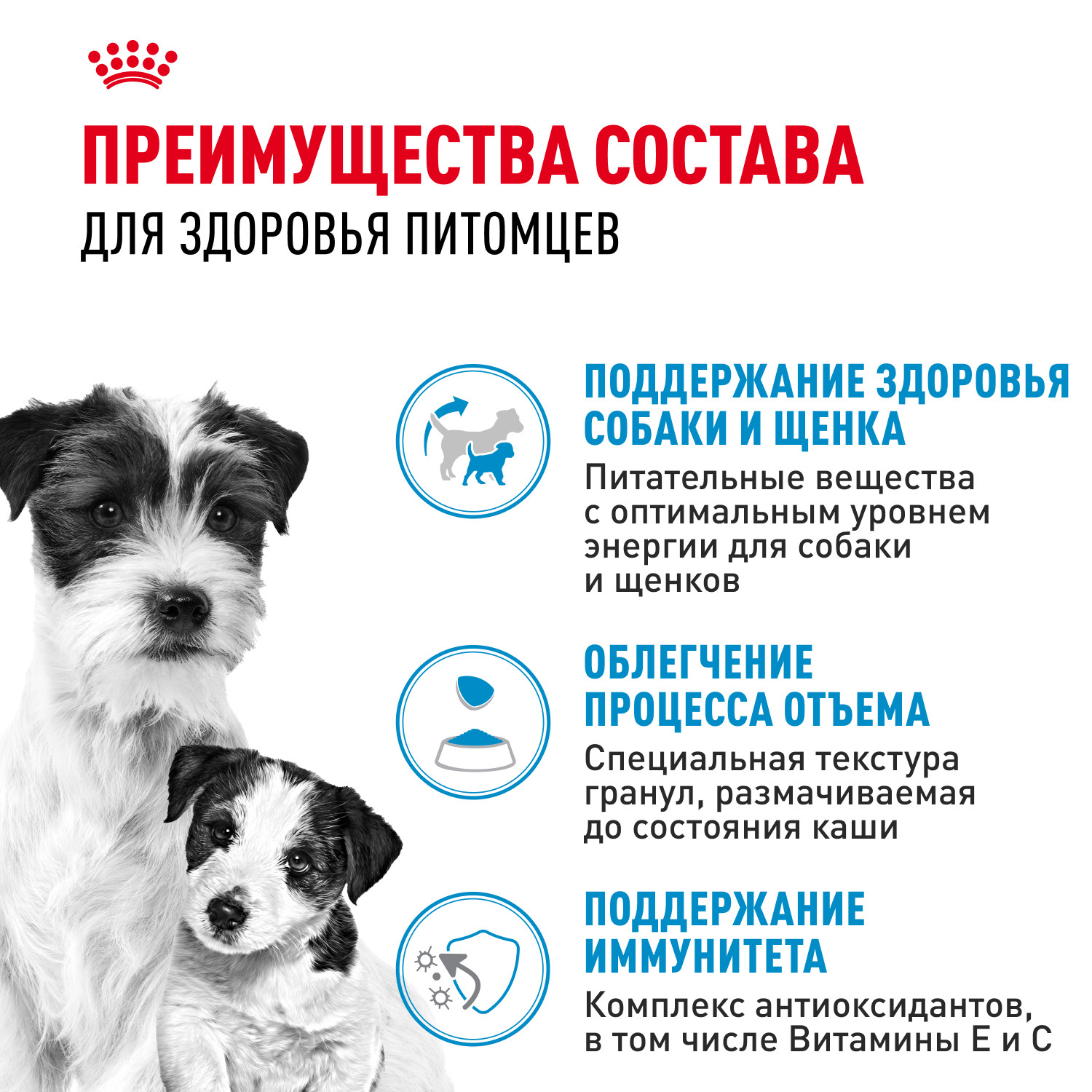 Корм для щенков ROYAL CANIN Starter мелких пород 3кг - фото 3