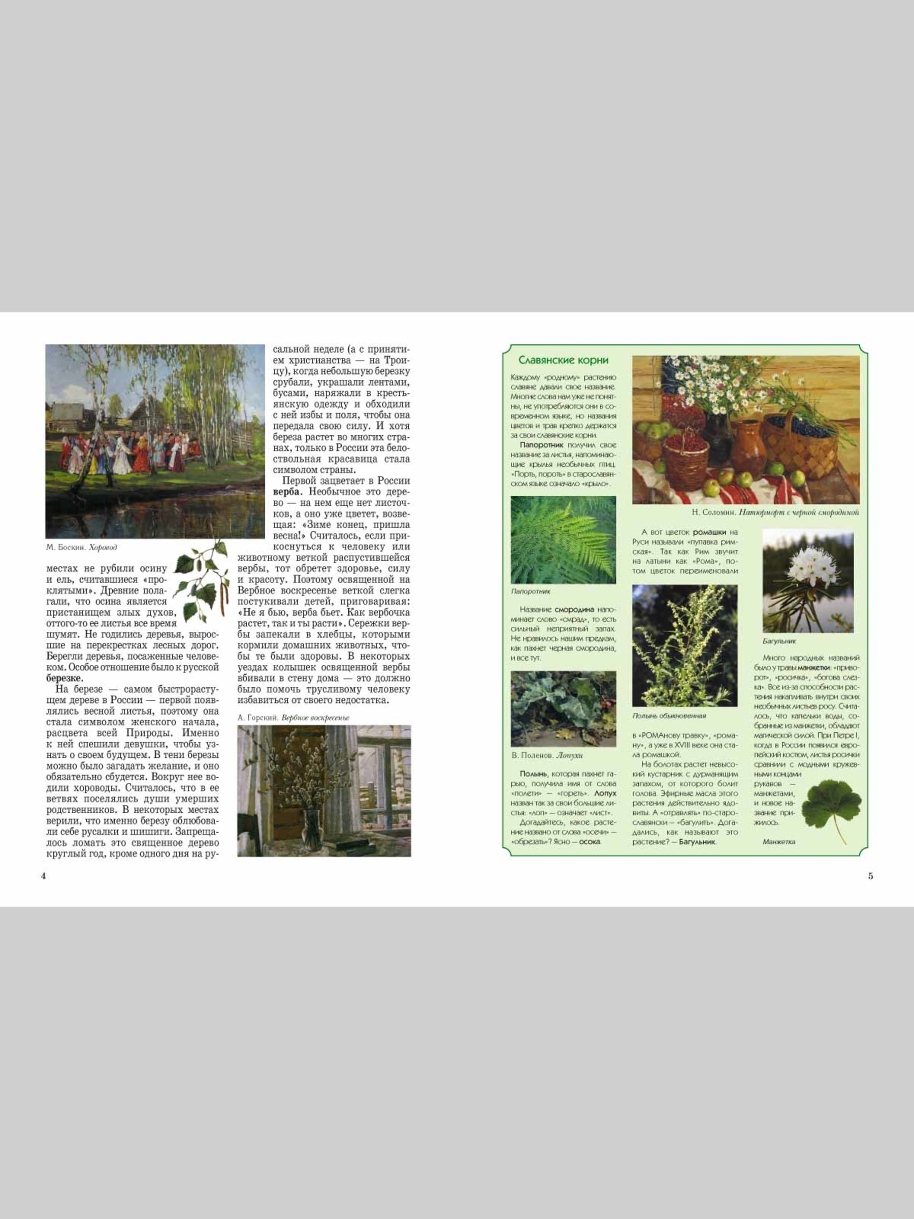 Книга Белый город Природа России - фото 10