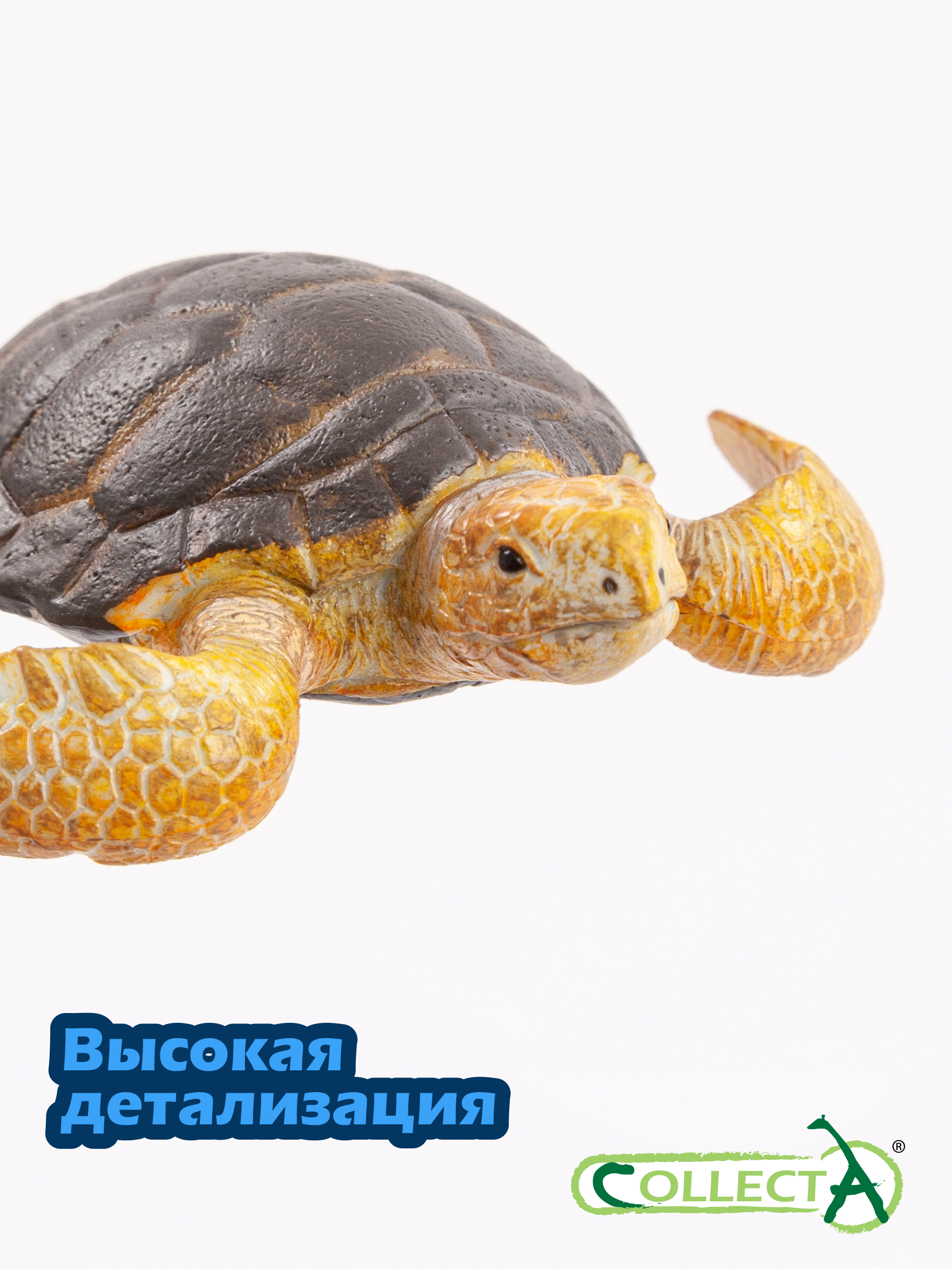 Фигурка Collecta Грифовая Черепаха - фото 3