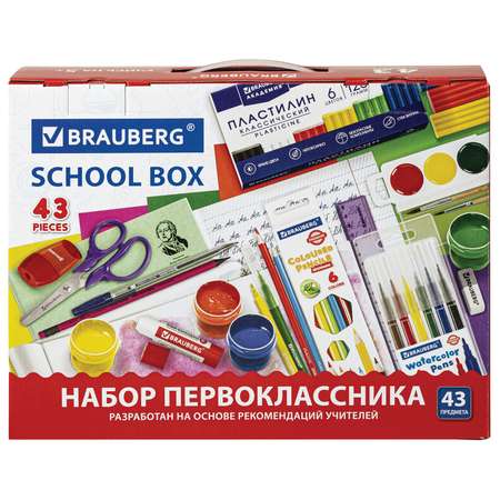 Набор школьника Brauberg 43 предм.