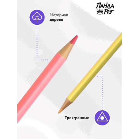 Карандаши цветные ПАНДАРОГ 6 шт.