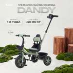 Трехколесный велосипед Rant Basic 10 дюймов