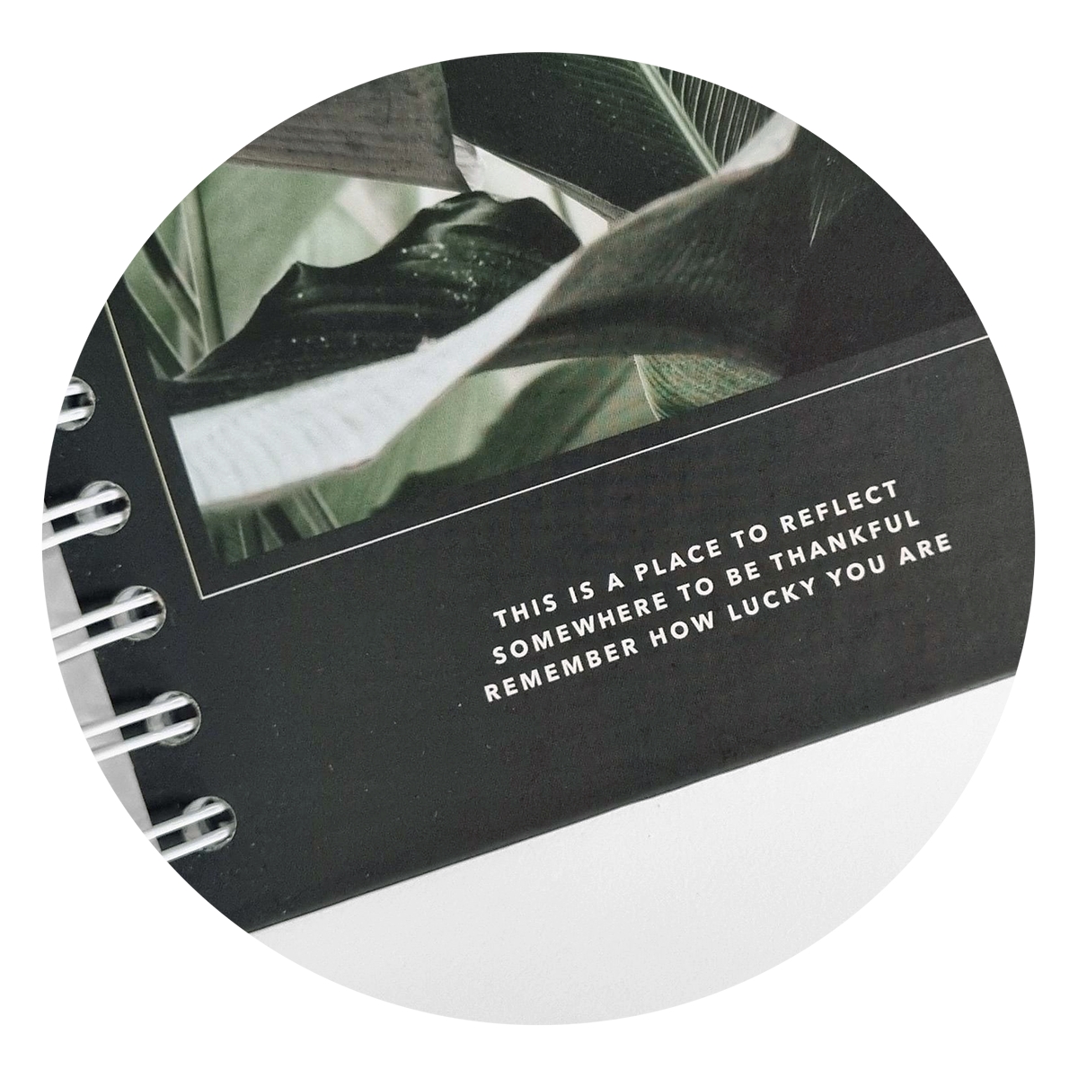 Общая тетрадь Be Smart клетка 120 лист. - фото 6