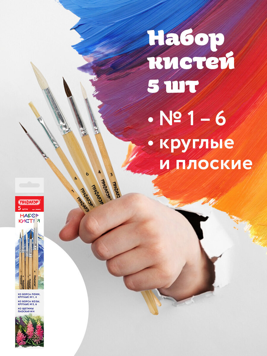 Кисть Пифагор 5 шт. (коза, пони, щетина) - фото 1