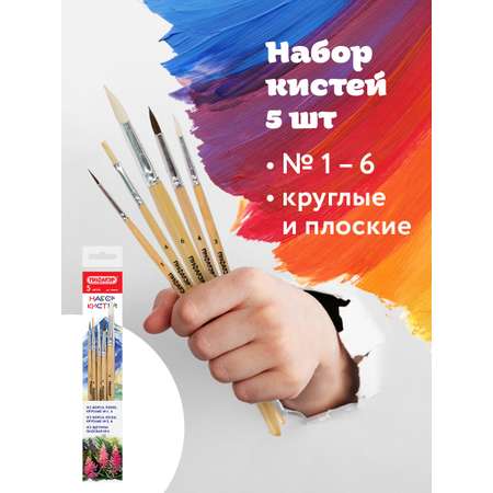 Кисть Пифагор 5 шт. (коза, пони, щетина)