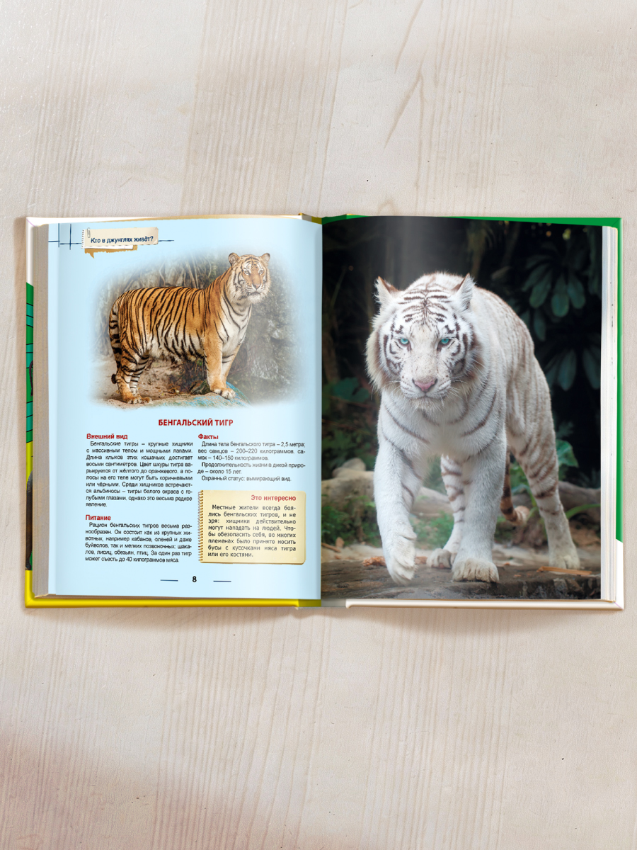 Книга Проф-Пресс Энциклопедия для детей. Кто в джунглях живёт? - фото 6