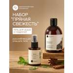 Набор Краснополянская косметика Мята и Ароматный Глинтвейн гидролат, гель для душа