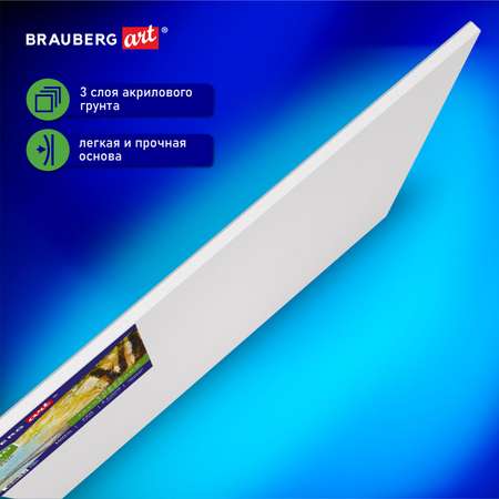 Холст на картоне Brauberg для рисования маленький 25x30 см набор 5 шт