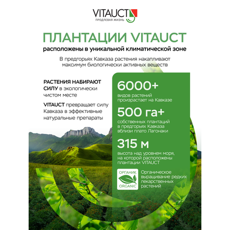 БАД VITAUCT Лецитин 100 мл.