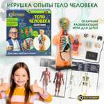 Настольная игра Играем вместе Тело человека