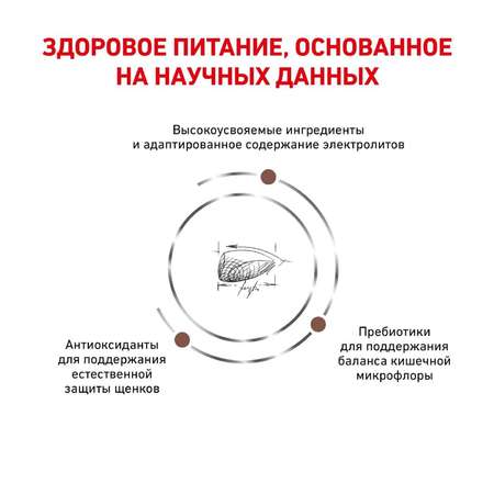 Корм для щенков ROYAL CANIN Gastro Intestinal Junior GIJ29 при нарушениях пищеварения 1кг