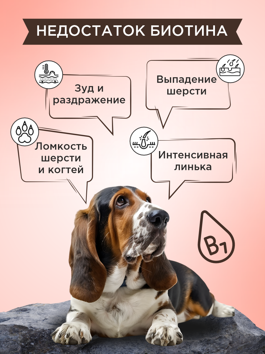 Полезное лакомство для собак GOODR DOG со вкусом норвежского лосося 90 таб. - фото 4