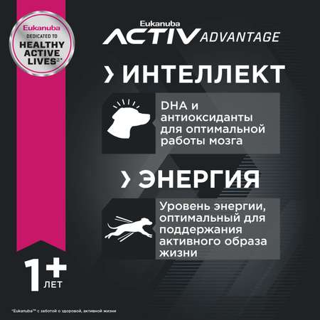 Корм Eukanuba Dog 3кг для взрослых собак крупных пород сухой