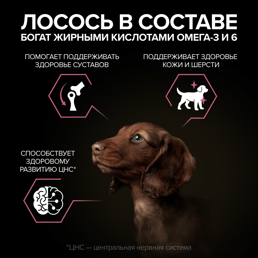 Корм для щенков сухой PRO PLAN Sensitive Skin для мелких пород с чувствительной кожей с лососем 700г - фото 5