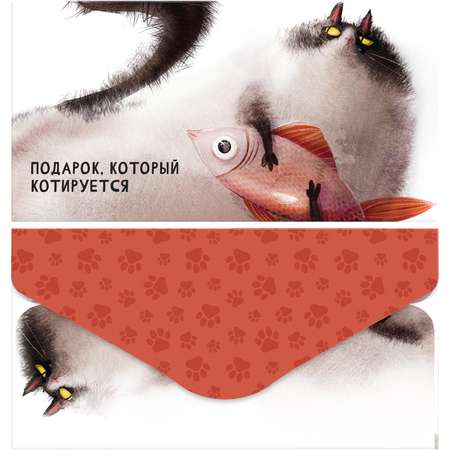 Конверт для денег Meshu Funny cats 85*164мм матовая ламинация в ассортименте MS_65060