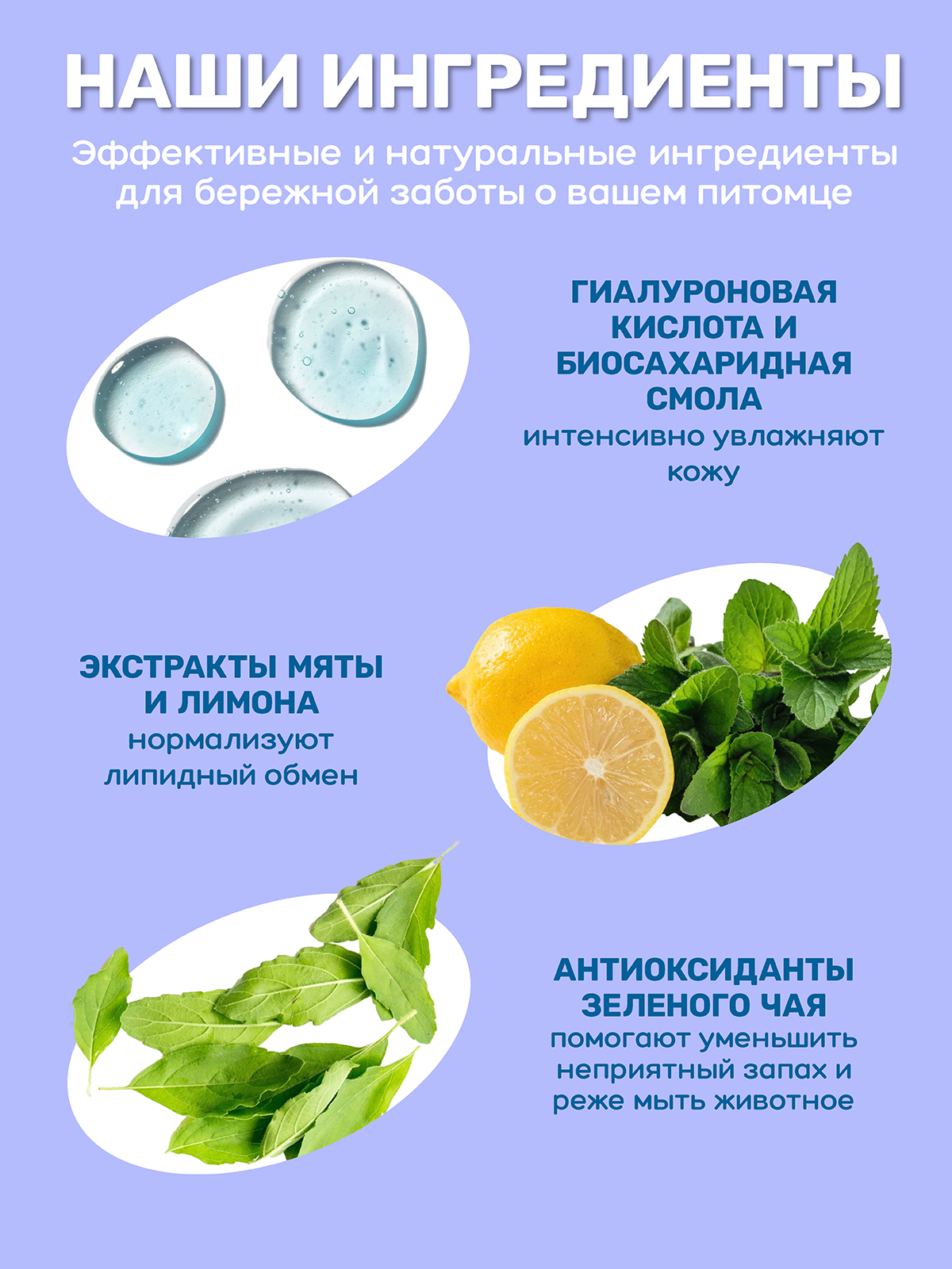 Шампунь для собак и кошек ZOORIK бесшерстных пород 250 мл - фото 7