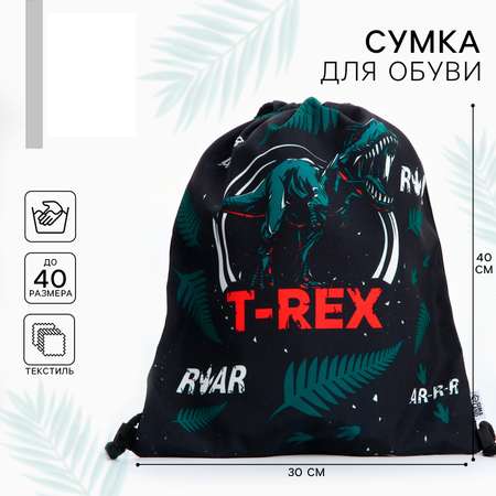 Мешок для обуви ArtFox T-REX